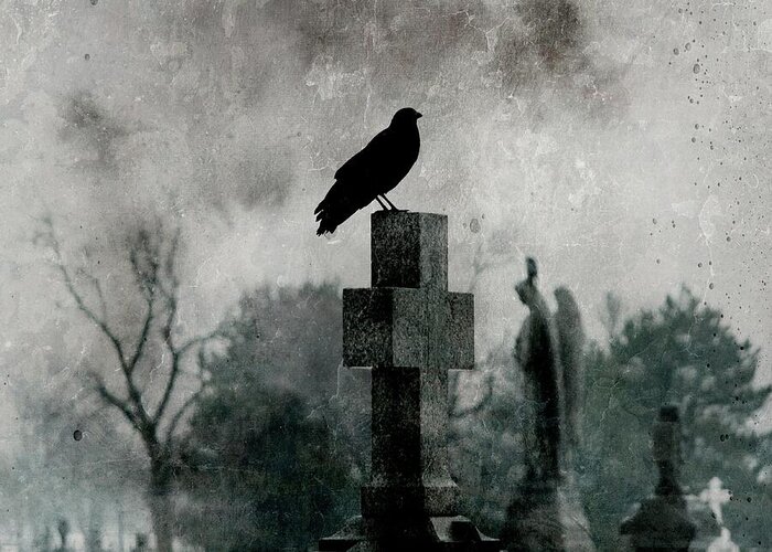 Crow Greeting Card featuring the photograph Dark Persuasion  by Gothicrow Images