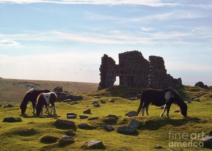 Dartmoor Greeting Card featuring the photograph Dartmoor Ponies Foggintor Quarry by Richard Brookes