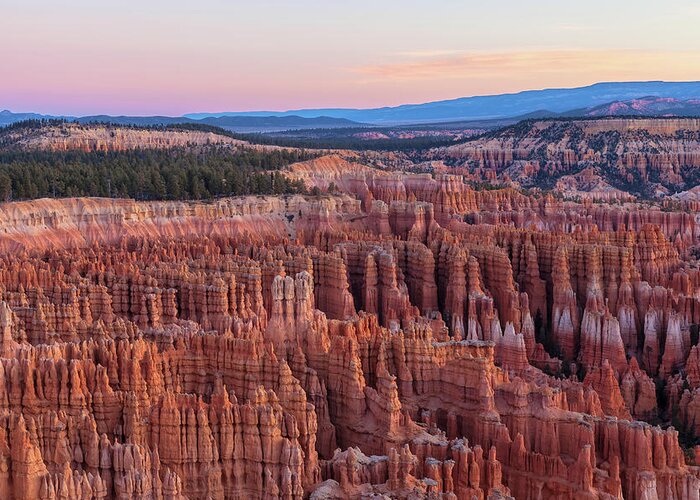 Bryce Canyon National Park Greeting Card featuring the photograph Dawn At Bryce by Jonathan Nguyen