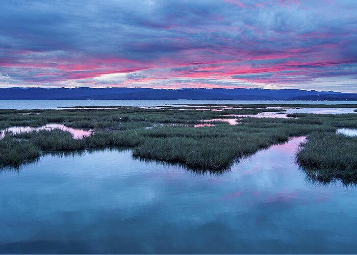 Arcata Bay Greeting Card featuring the photograph Dawn Threatens Arcata Bay by Greg Nyquist