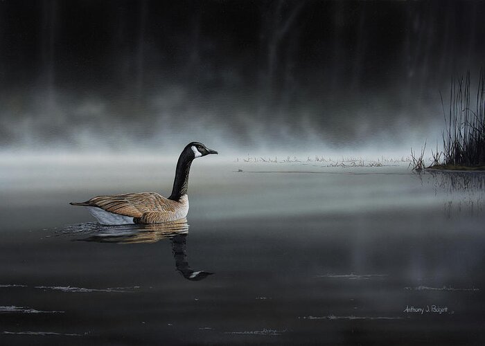 Goose Greeting Card featuring the painting Daybreak Sentry by Anthony J Padgett
