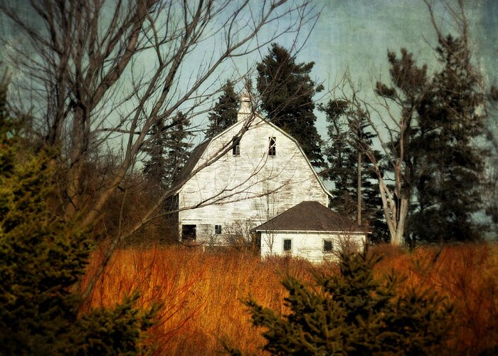 Barn Greeting Card featuring the photograph Days Gone by by Julie Hamilton