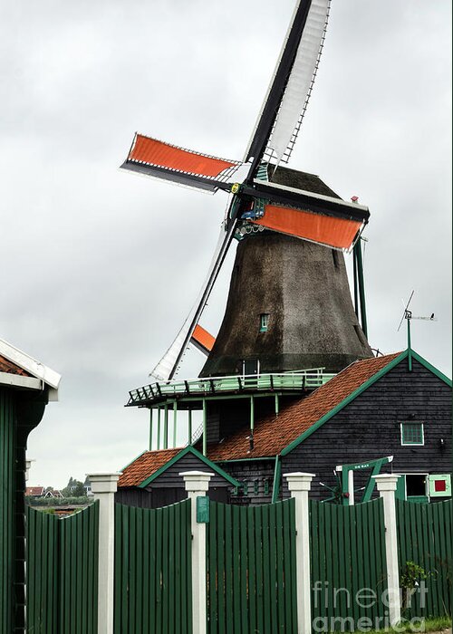 Europe Greeting Card featuring the photograph De Kat windmill in Zaanse Schans by RicardMN Photography