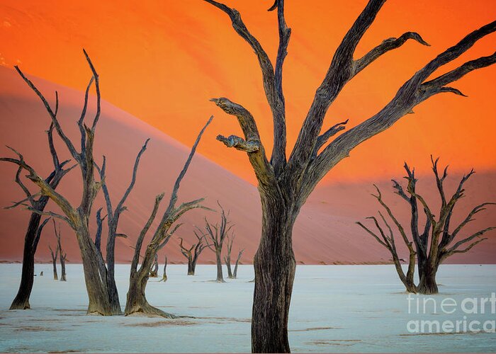 Africa Greeting Card featuring the photograph Deadvlei Lines by Inge Johnsson