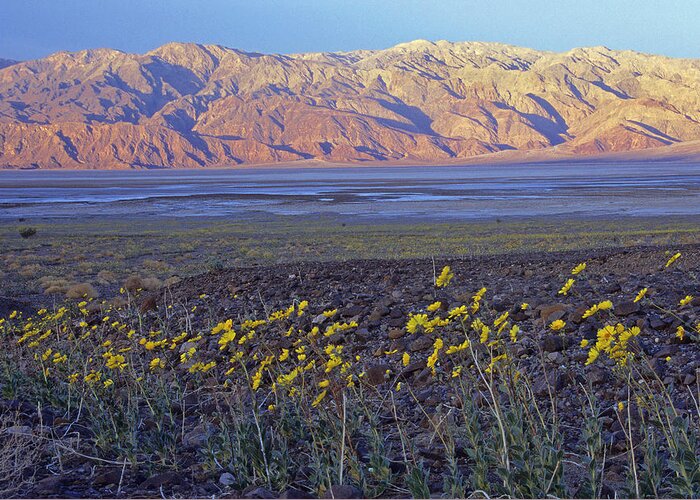Scenic Greeting Card featuring the photograph Death Valley Sunrise #1 by Doug Davidson