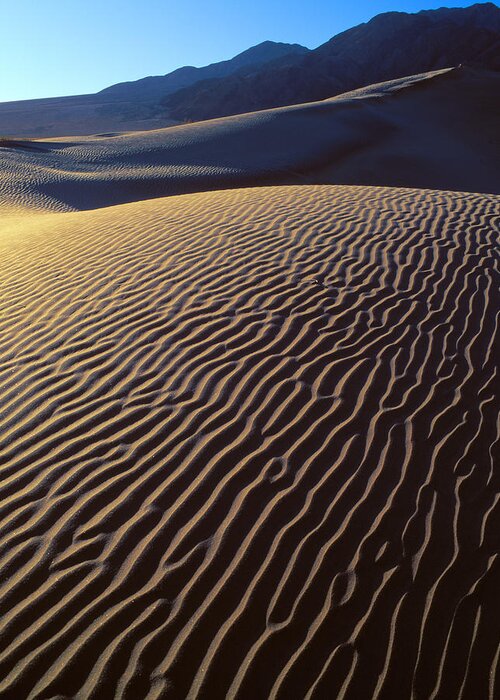 Death Valley Greeting Card featuring the photograph Death Valley Sand Dunes by Johan Elzenga
