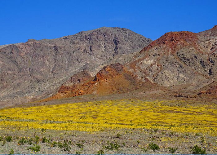 Death Greeting Card featuring the photograph Death Valley Superbloom by Tranquil Light Photography