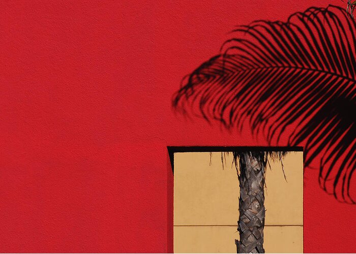 Urban Greeting Card featuring the photograph Deconstructed Palm Tree by Stuart Allen