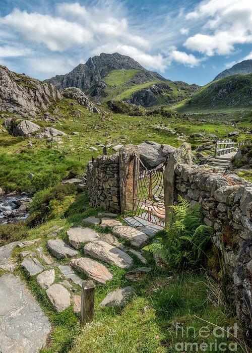 Tryfan Mountain Greeting Card featuring the photograph Decorative Iron Gate by Adrian Evans
