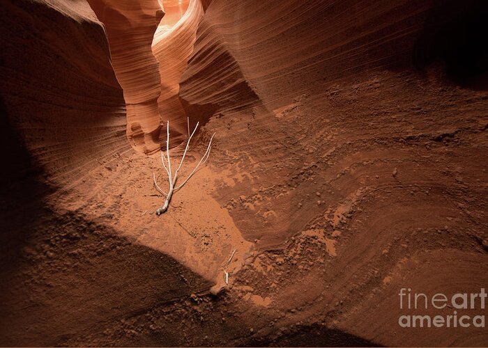  Lone Greeting Card featuring the photograph Deep Inside Antelope Canyon by Jim DeLillo