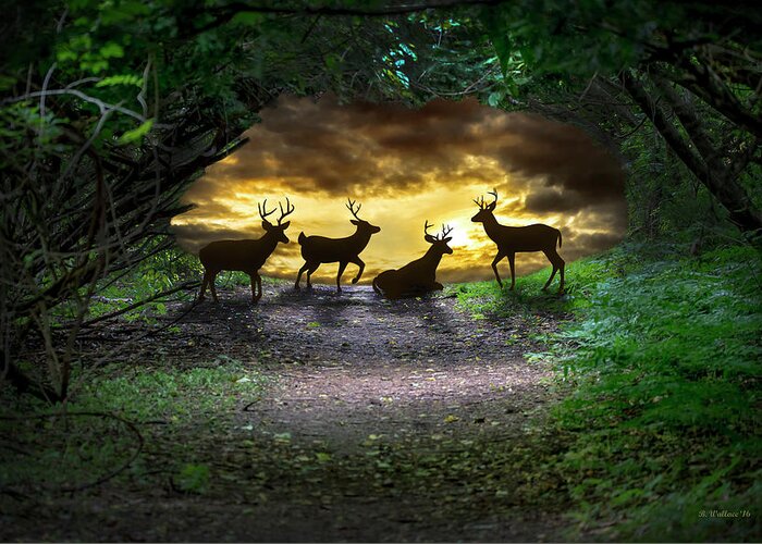 2d Greeting Card featuring the photograph Deer Fantasy by Brian Wallace