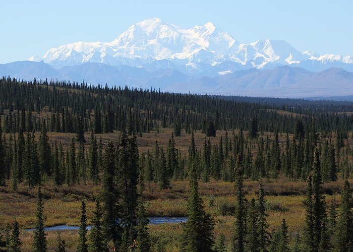 Denali Greeting Card featuring the photograph Denali From The Denali Highway by Steve Wolfe