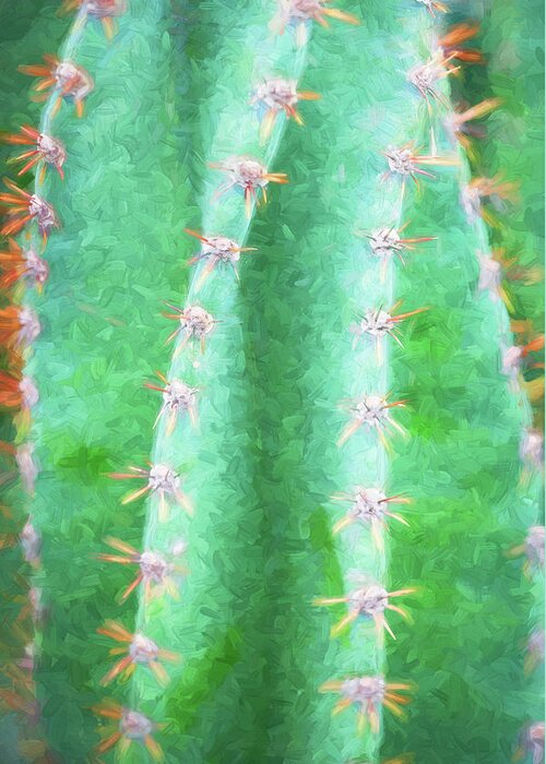  Greeting Card featuring the photograph Desert Cactus and Succulents 026 by Rich Franco