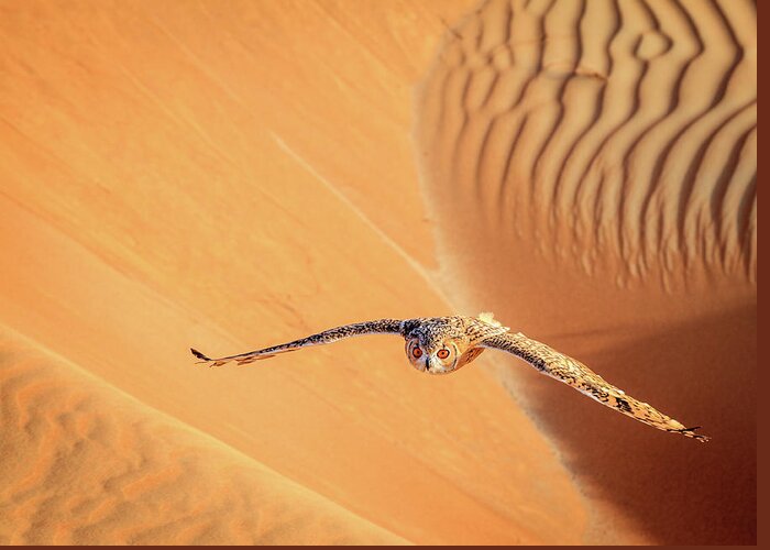 Dubai Greeting Card featuring the photograph Desert Eagle Owl by Alexey Stiop
