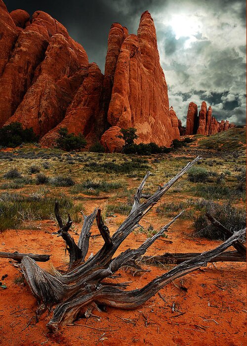 Arches National Park Greeting Card featuring the photograph Desert Floor by Harry Spitz