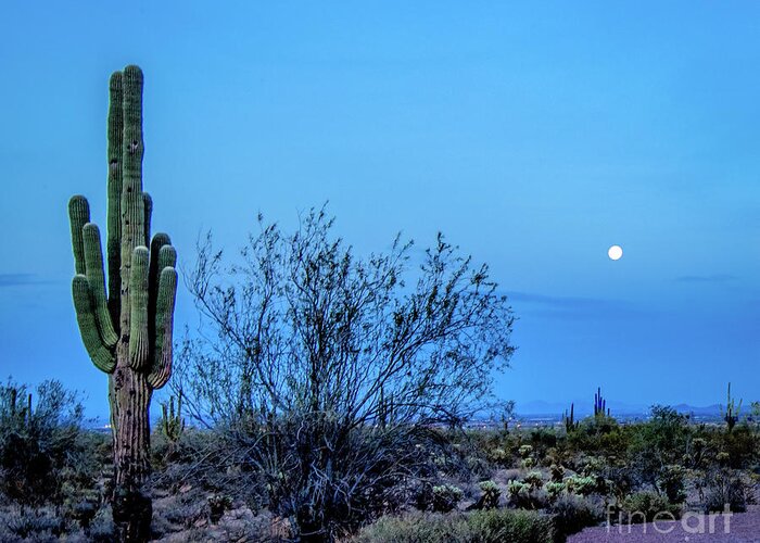 Full Moon Greeting Card featuring the photograph Desert Full Moon by Randy Jackson