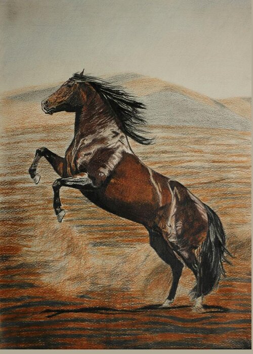 Horse Greeting Card featuring the drawing Desert horse by Melita Safran