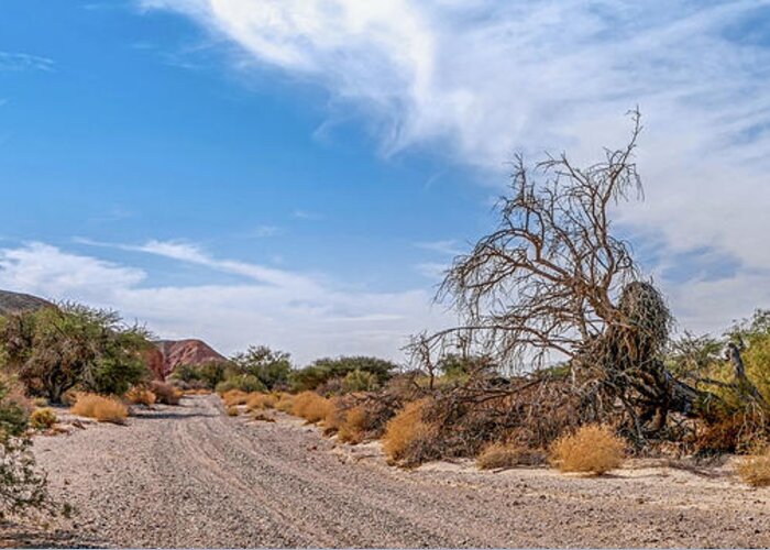 Desert Greeting Card featuring the photograph Desert road by Arik Baltinester