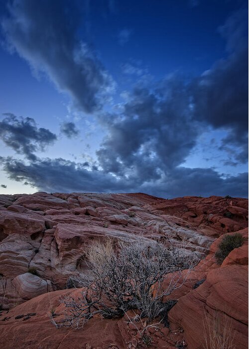 Valley Of Fire Greeting Card featuring the photograph Desert Sky by Rick Berk