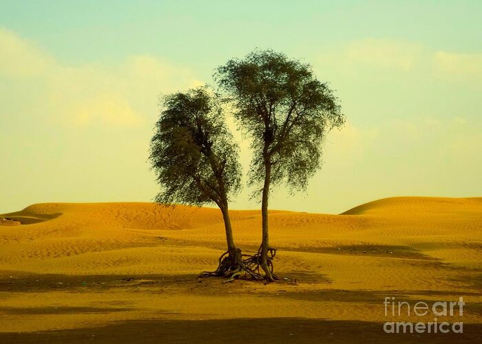 Landscape Greeting Card featuring the photograph Desert Trees by Barbara Von Pagel