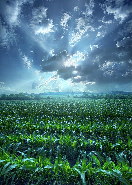 Scenic Greeting Card featuring the photograph Despite The Rain by Phil Koch
