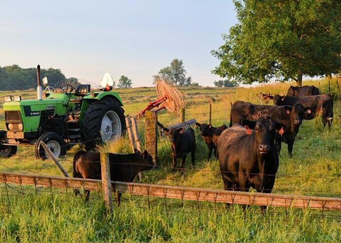 Tractor Greeting Card featuring the photograph Deutz D 6807 by Bonfire Photography