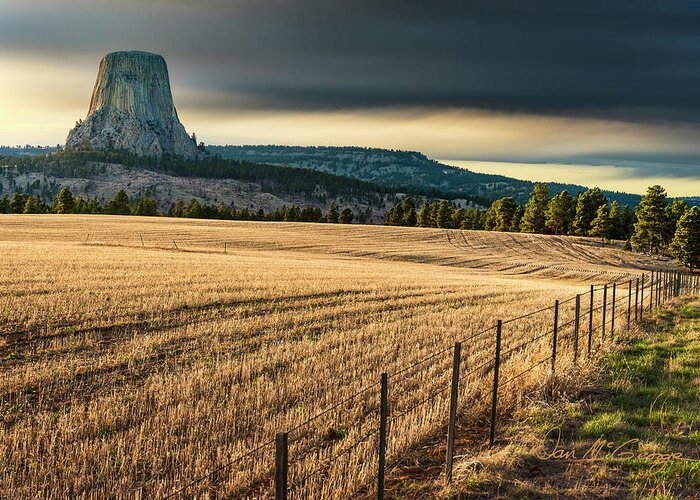 Devil's Tower Greeting Card featuring the photograph Devil's Field by Dan McGeorge
