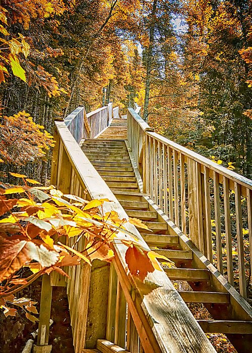 Judge Magney State Park Greeting Card featuring the photograph Devil's Kettle Stairway by Linda Tiepelman