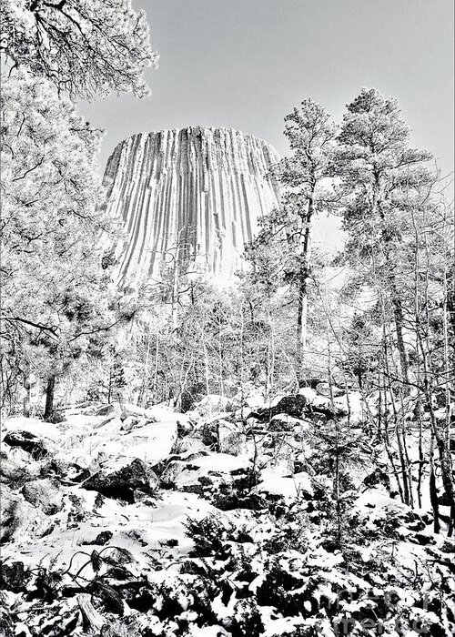 Devils Tower Greeting Card featuring the photograph Devils Tower Wyoming by Merle Grenz