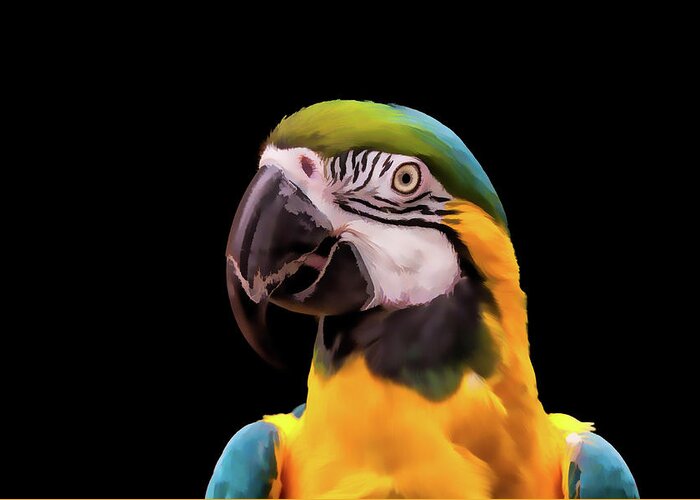 Animal Greeting Card featuring the digital art Digital Painting of a Blue and Yellow Macaw Parrot by Tim Abeln
