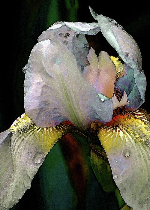 Digital Painting Greeting Card featuring the photograph Digital Painting White Iris 9932 DP_2 by Steven Ward