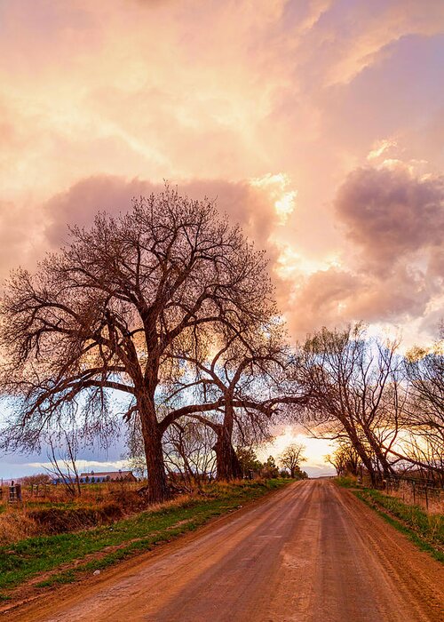 Portrait Greeting Card featuring the photograph Dirt Road Cloud Cruising by James BO Insogna