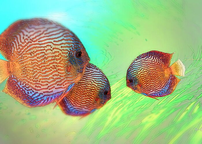 Fish Greeting Card featuring the photograph Discus in Eel Grass by Russ Harris