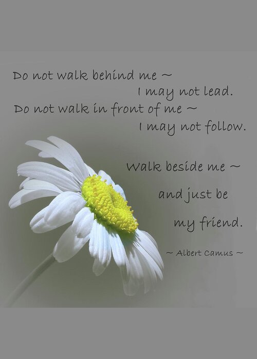 Albert Camus Greeting Card featuring the mixed media Walk Beside Me by Movie Poster Prints