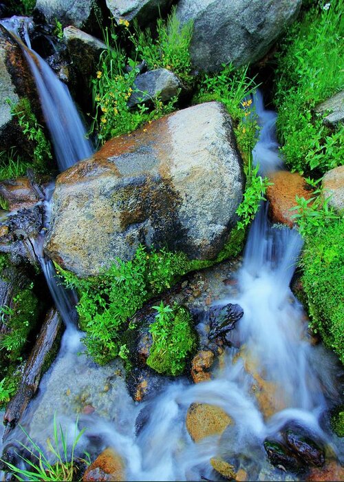 Sierra Greeting Card featuring the photograph Do You Share A Love For Streams? by Sean Sarsfield
