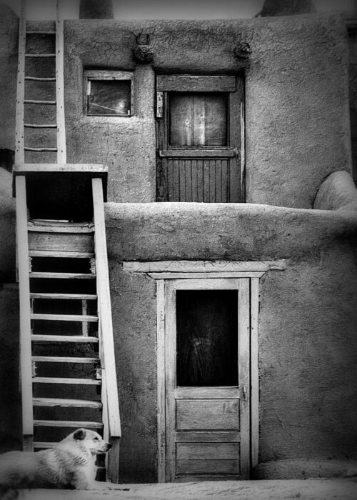 Taos Greeting Card featuring the photograph Dog Ladders and Doors in Black and White by Nadalyn Larsen