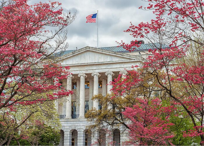 City Greeting Card featuring the photograph Dogwoods and the Senate Office by Jonathan Nguyen