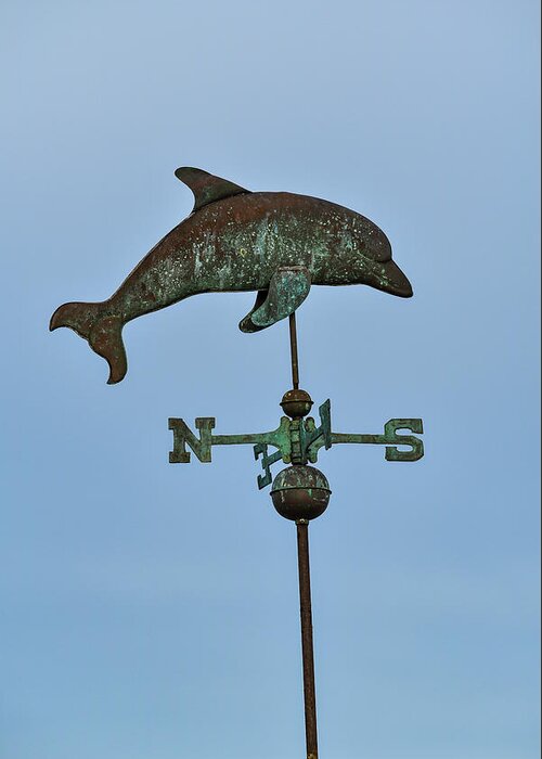 Bottlenose Greeting Card featuring the photograph Dolphin Weathervane by Artful Imagery