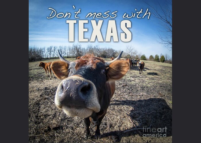Mess Greeting Card featuring the digital art Don't Mess with Texas by Cheryl McClure