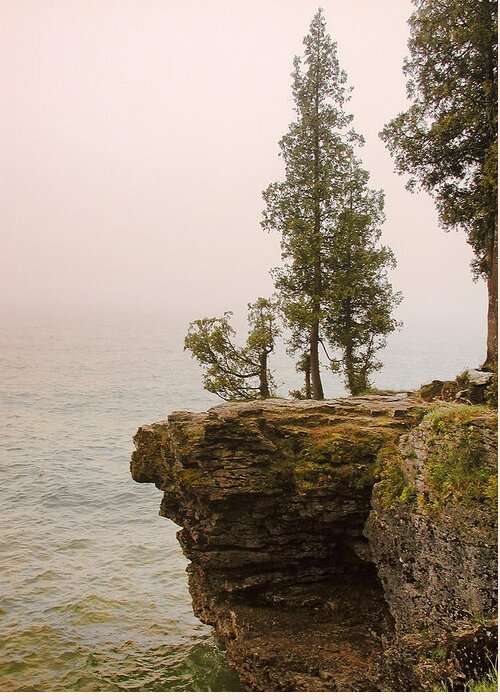 Door County Greeting Card featuring the photograph Door County Scene by Richard Stedman