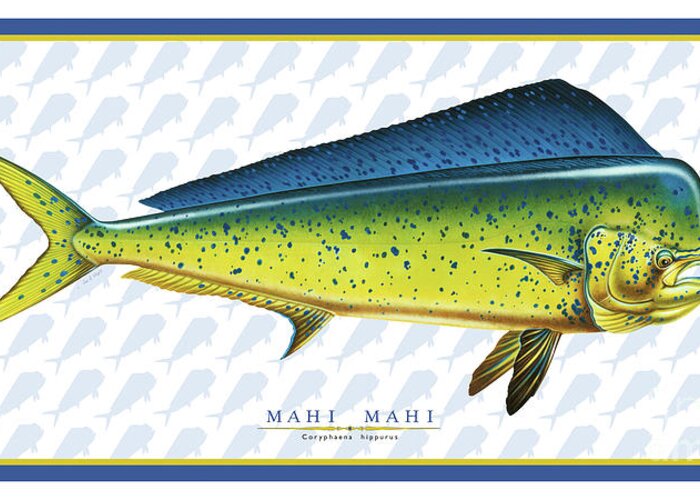 Jon Q Wright Fish Id Print Saltwater Dorado Mahi Mahi Ocean Greeting Card featuring the painting Dorado ID by Jon Q Wright