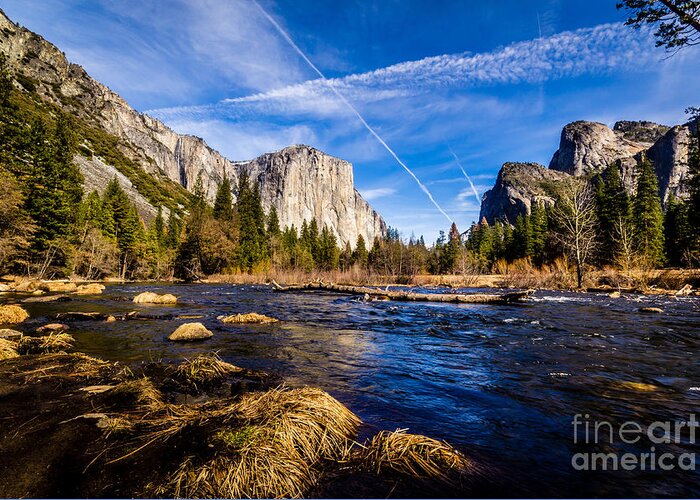 Yosemite Greeting Card featuring the photograph Down In The Valley by Paul Gillham