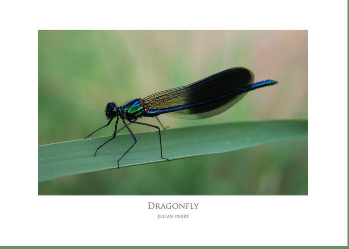 Dragonfly Greeting Card featuring the digital art Dragonfly by Julian Perry