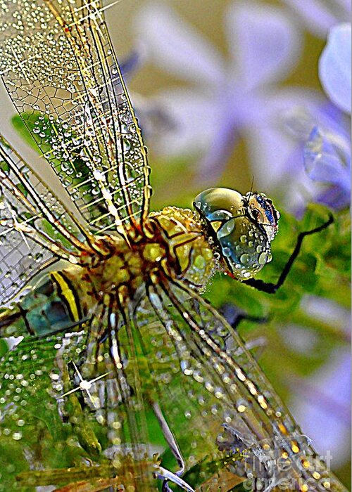 Dragonfly Greeting Card featuring the photograph Dragonfly by Sylvie Leandre