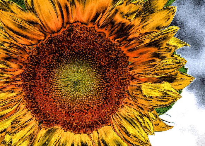 Sunflower Greeting Card featuring the photograph Dramatic Sunflower by Kristin Elmquist