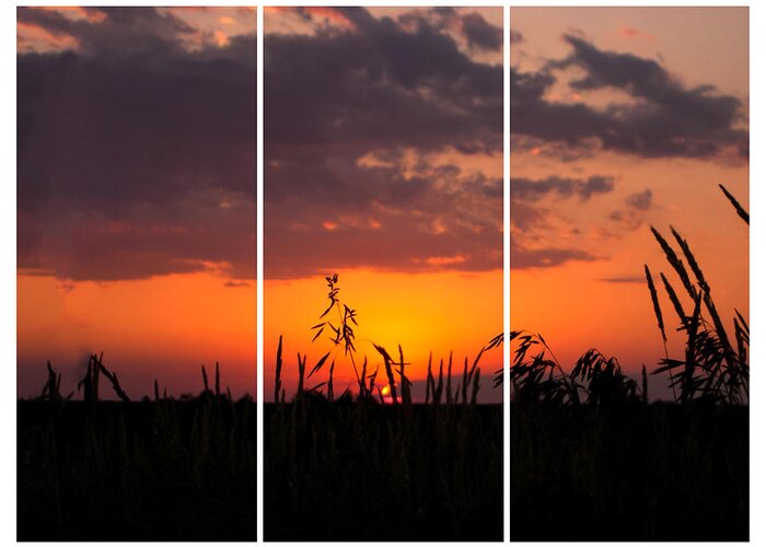 Dramatic Sunset Triptych Greeting Card featuring the photograph Dramatic Sunset Triptych by Cynthia Woods