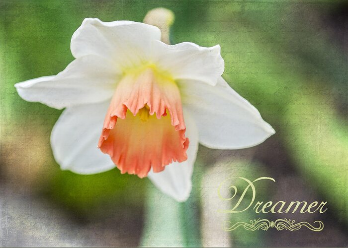 Flower Greeting Card featuring the photograph Dreamer by Cathy Kovarik