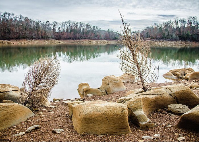 Cherokee Reservoir Greeting Card featuring the photograph Dried Shrubs at Cherokee Reservoir by Ryan Ketterer