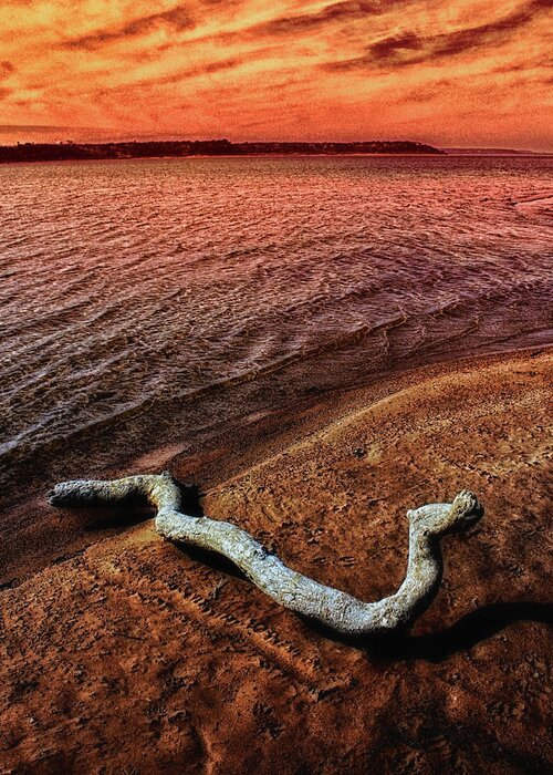 Lake Greeting Card featuring the photograph Driftwood 2 by Jim Painter