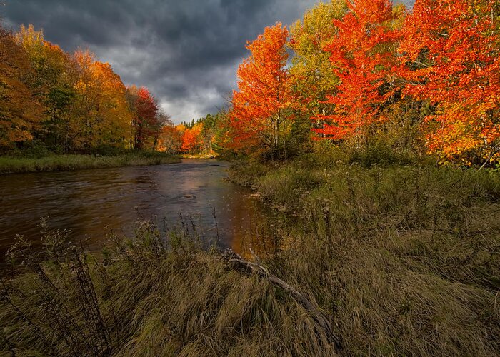 Kelly River Wilderness Area Greeting Card featuring the photograph Driftwood And Autumn Colors by Irwin Barrett